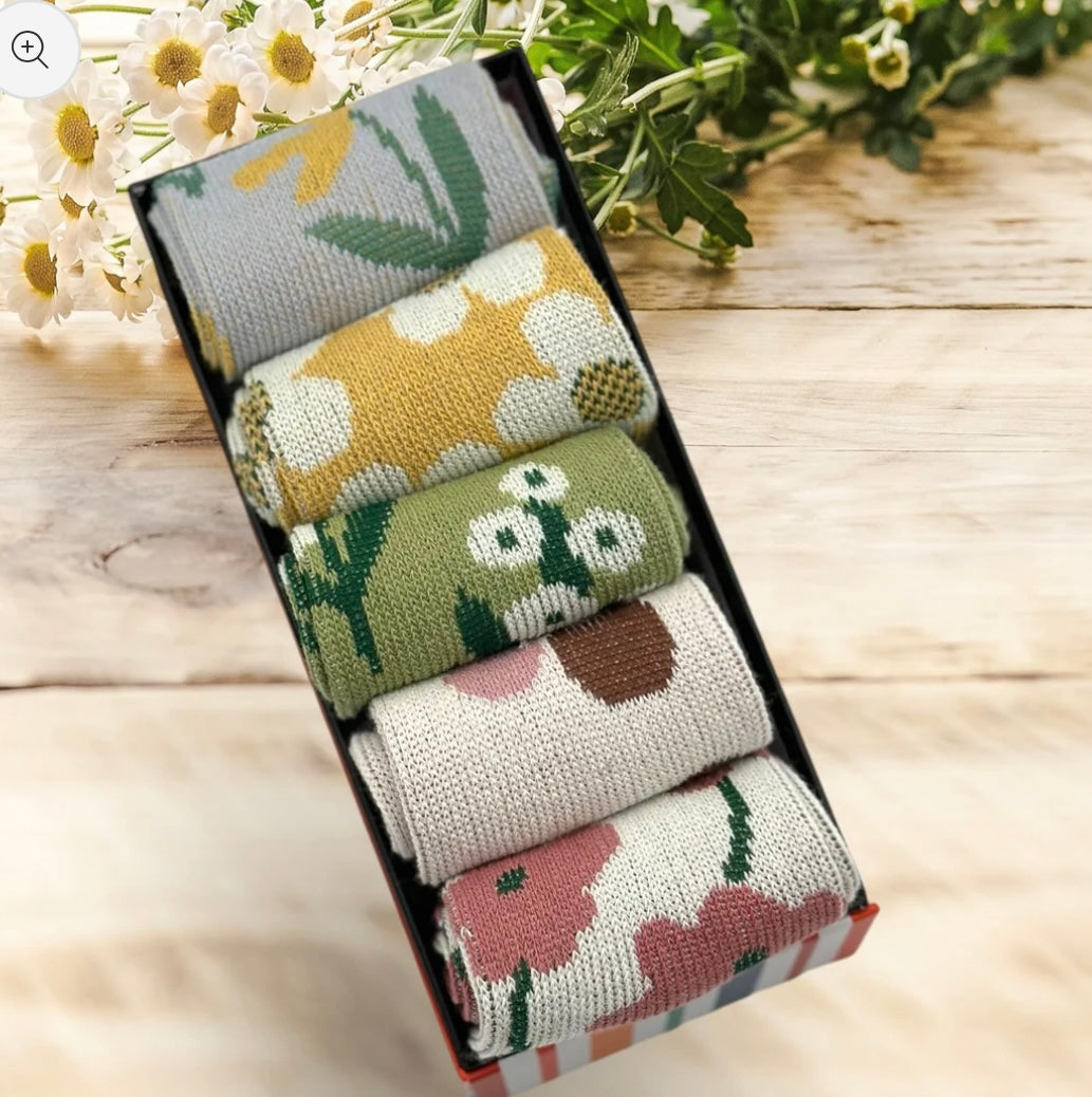 Socks in a box