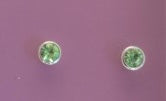 Two green gemstone earrings on a purple background