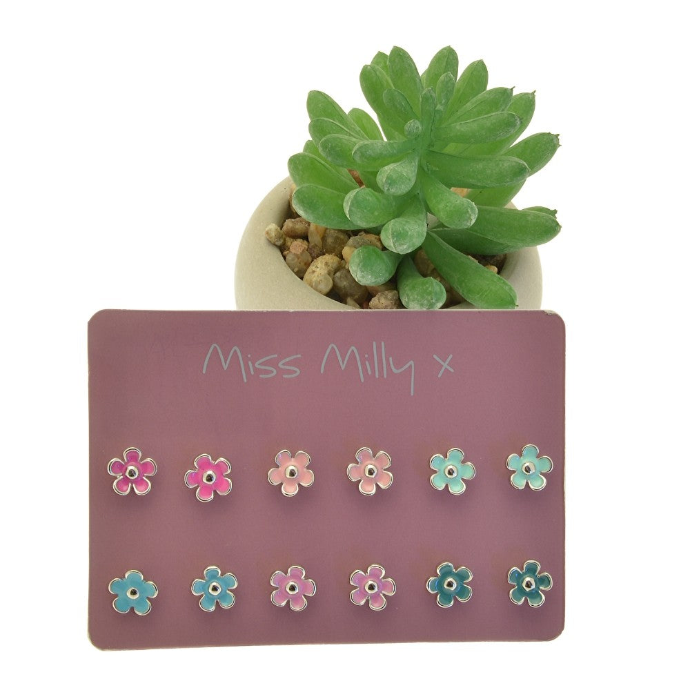 Earring display card with flower-shaped earrings and a small potted succulent on a white background.